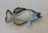 Crappie Fish Magnet 3.5" x 1.75" Nautical decor