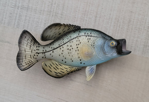 Crappie Fish Magnet 3.5" x 1.75" Nautical decor