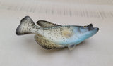 Crappie Fish Magnet 3.5" x 1.75" Nautical decor