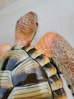 Sea Turtle 15"x 12.5 Replica wall decor
