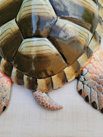 Sea Turtle 15"x 12.5 Replica wall decor