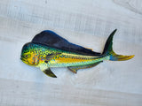 Mahi Mahi 48", 28", 18" or 12" Dorado Dolphin fish wall decor