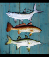 Redfish Snook Tarpon Replica 19" wall decor