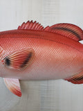 Red Snapper 18" Replica decor