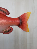 Red Snapper 18" Replica decor