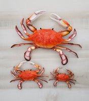 Red Crab 3D wall replica