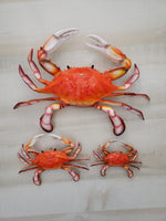 Red Crab 3D wall replica
