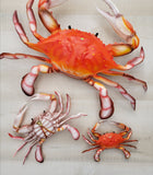 Red Crab 3D wall replica