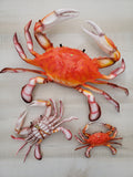 Red Crab 3D wall replica