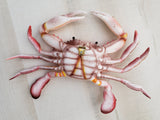 Red Crab 3D wall replica