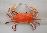 Red Crab 3D wall replica
