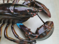 Lobster Replica decor
