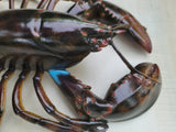 Lobster Replica decor