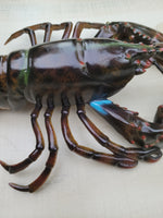 Lobster Replica decor