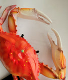 Red Crab 3D wall replica