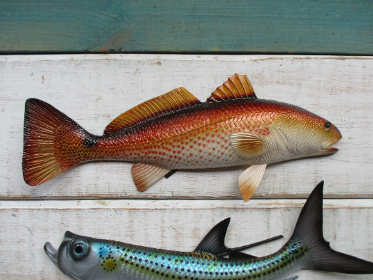 Redfish Snook Tarpon Replica 19" wall decor