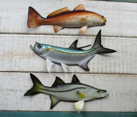 Redfish Snook Tarpon Replica 19" wall decor