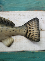 Sea Trout 28"